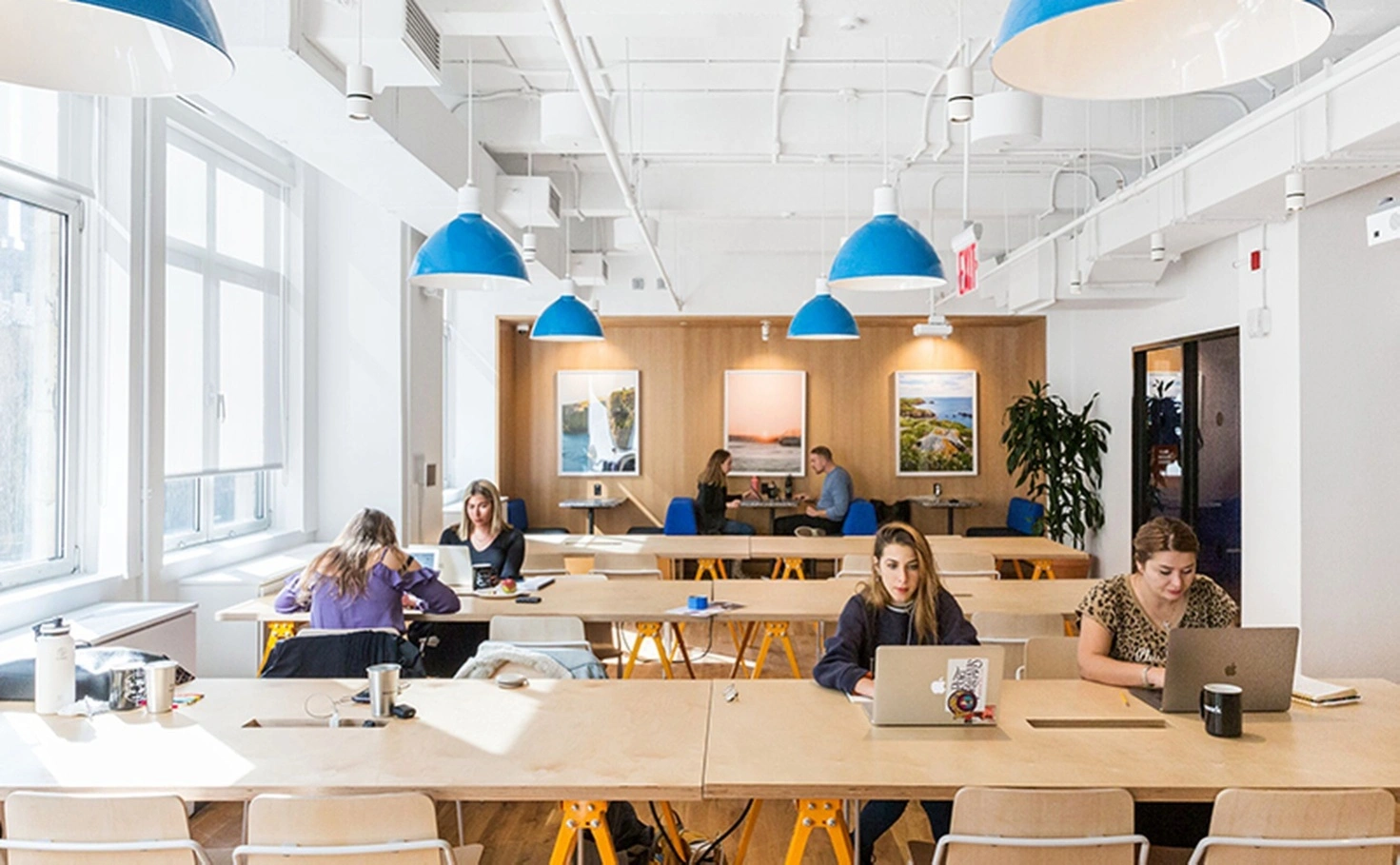 Task lighting workspace professional